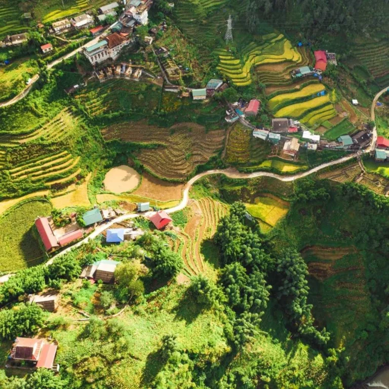 Geografia del Vietnam: montagna e giungla