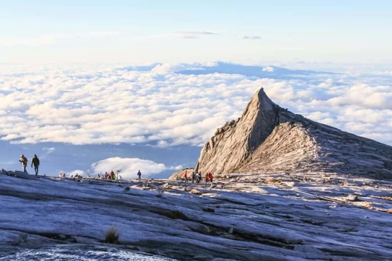 Geografia della Malesia: Dalla costa alla giungla