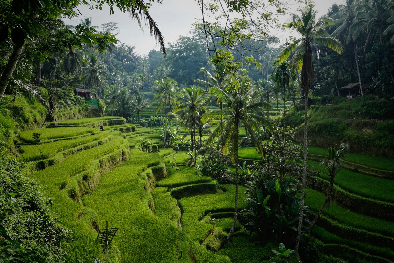 Bali Destinazioni Imperdibili