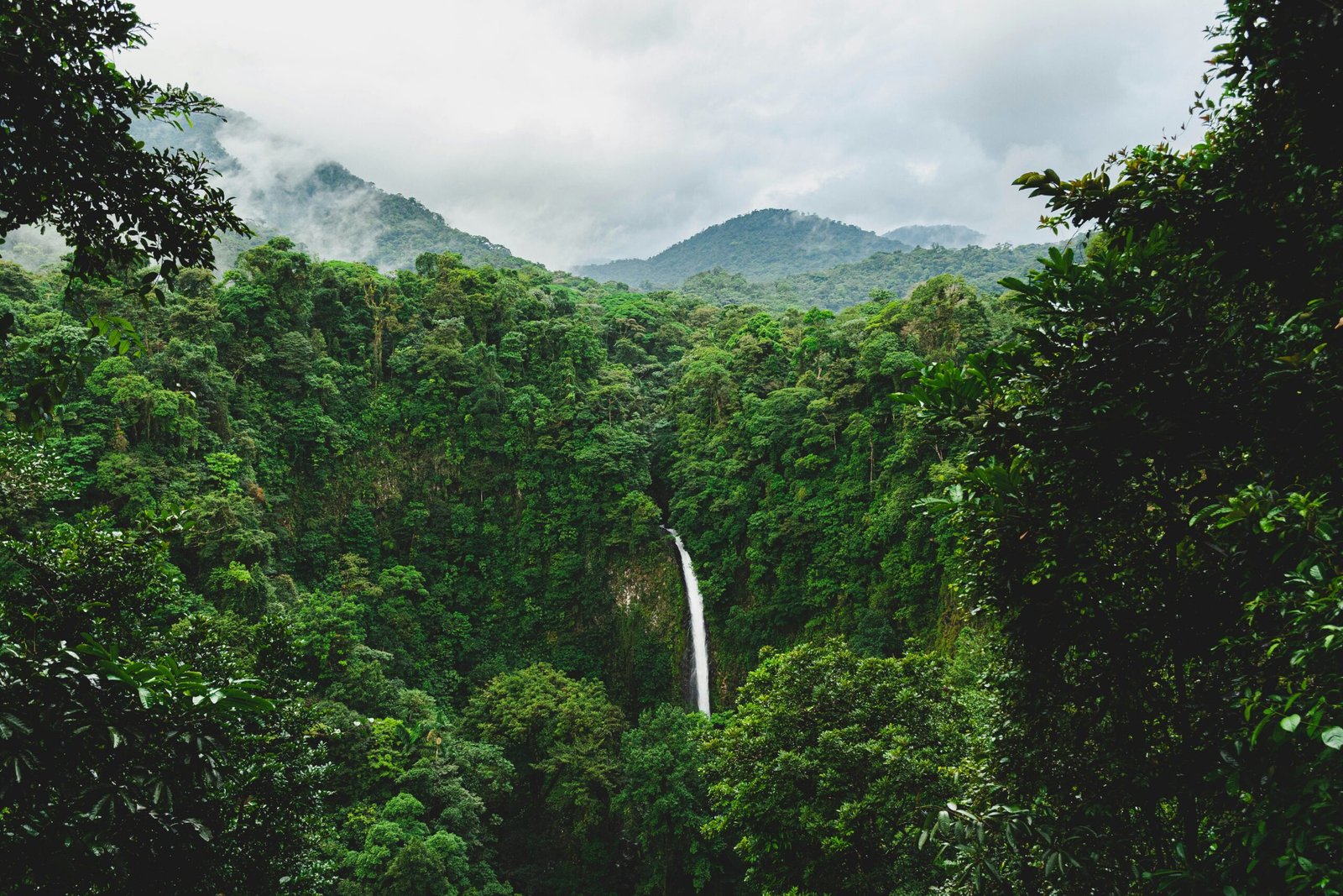 Natura…lmente Costa Rica