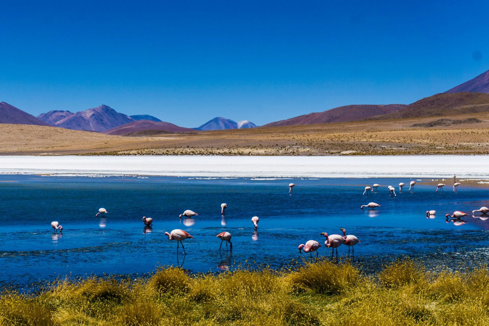 Perù Viaggio nell’Anima delle Ande – Perù e Bolivia